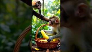 The Monkey Who Changed A Farmers Life Emotional Short Story
