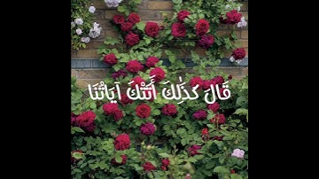 سورة طه الآية(124) القارئ شريف مصطفى #قرآن