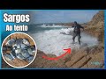 Pesca aos sargos ao tento.  / Sea bream fishing/صيد السارج/Рыбалка на хека/シーブリーム釣り/ 红鲷钓鱼