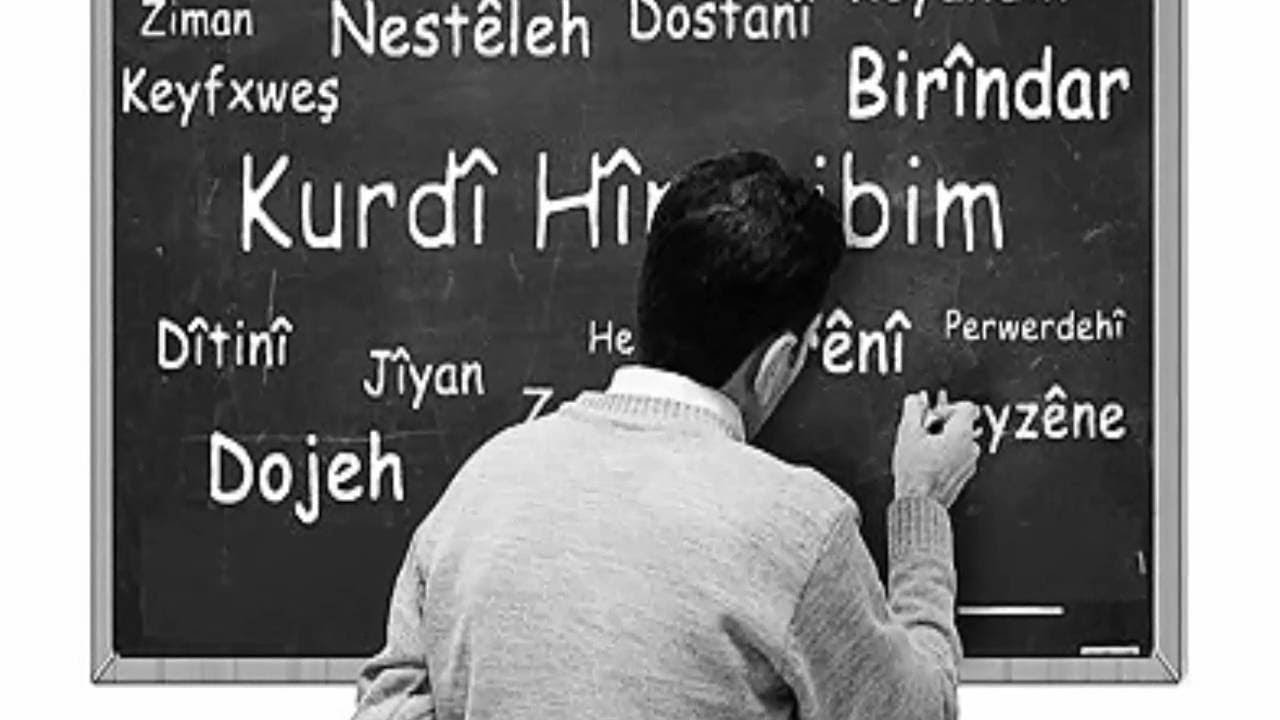 ماهو تاريخ اللغة الكُـردية و كيف حافظ عليها أكراد سوريا ؟ - زووم كورد