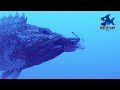 #2 泳がせ釣りを砂浜でやってみたら、いかつい魚がアジを丸飲み!?