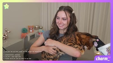 learning haskell with Crush (AI in the terminal)