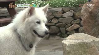 08/11/2013 TV Animal Farm #2(10)