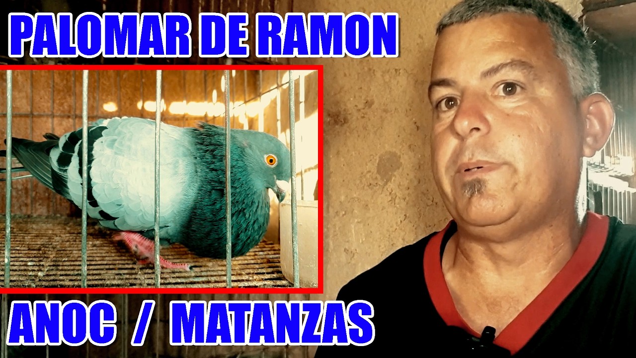 PALOMAR  DE CONQUISTA DE RAMON - PRESIDENTE ANOC MATANZAS