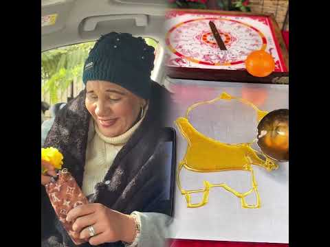 الوااو جتلكم بحكمة جديدة الحب بالصبر والعشرة مش بالزعيق والوشوش الكشرة