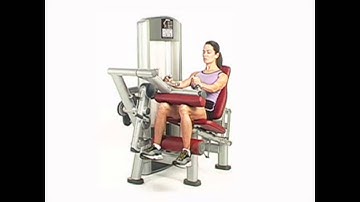 Signature Series Seated Leg Curl