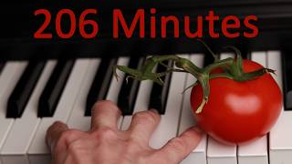 I Practiced Piano For 206 Minutes (no tomatoes, fight over a white blanket)