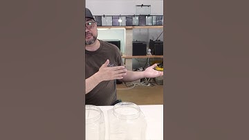 How I made my Betta rack. Click on link in description to see full video. #betta #bettasorority