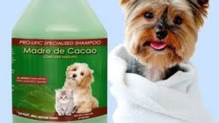 madre de cacao dog soap