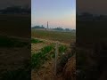 मिट्टी की महक! 🌾 असली सुकून कहाँ मिलता है, देखिए#villagelife #village #villagevlog #villagelifestyle