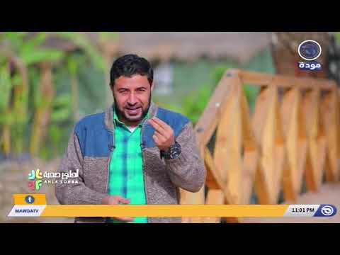 مفهوم السعادة مع شريف شحاتة حلقة 01 أحلى صحبة قناة مودة