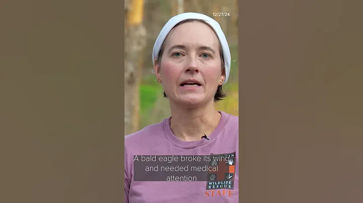 Injured bald eagle gets help from local wildlife rescue center