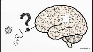 ADHD & Allergies: The Surprising Link You Need to Know