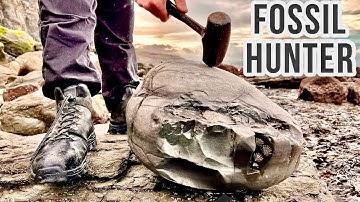 Fossil Hunter Cracks Open Huge Limestone Rock! Ammonites, Crinoid, Shells, Wood, Ichthyosaur Jaws