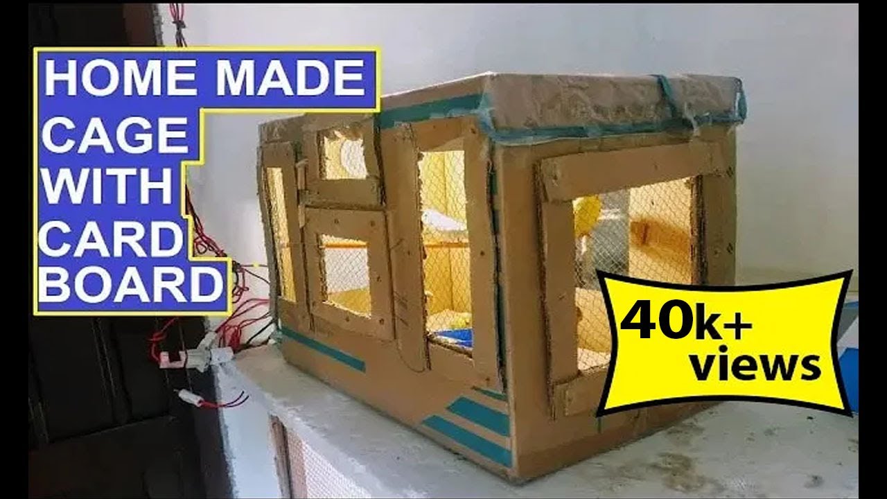 How To Make a Card Board Box Cage At Home For Free URDU HINDI ( With