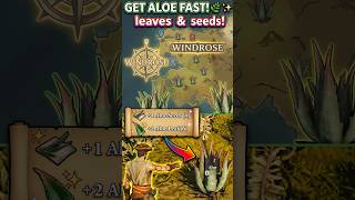 How to Get ALOE LEAVES & SEEDS Fast in Windrose! 🌿✨#shorts #gaming #windrose