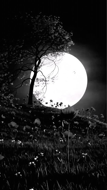 tum hi aana song slowed and reverb || tum hi aana song slowed and reverb status