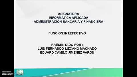 FUNCIÓN INT.EFECTIVO