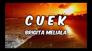 Cuek - Cover  By Brigita Meliala [Lirik]