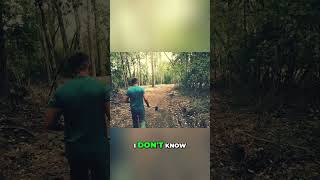 Missing Persons, Strange Symbols & Forest Horror Uncovered! #shorts