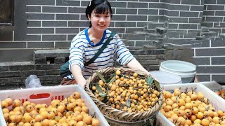 Enter the city to go to the market and set up stalls to sell 800 catties of loquat! 1 yuan 1 jin is