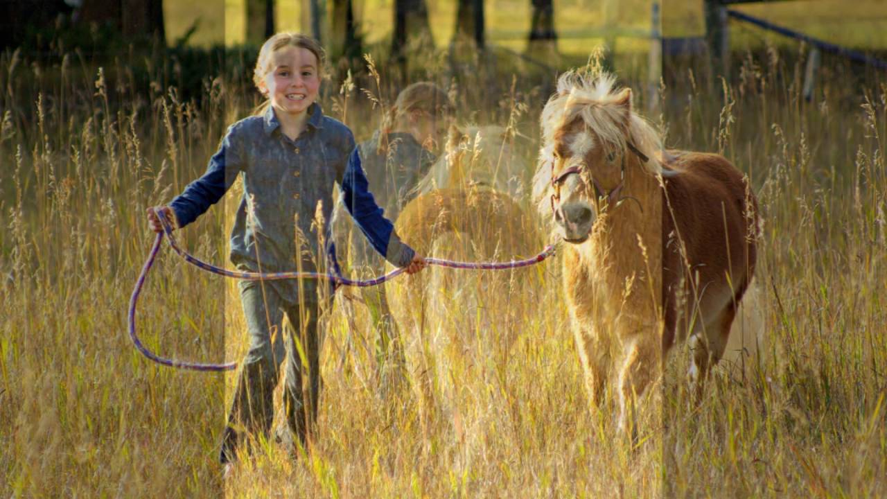 Girl and her horses YouTube