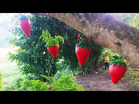 Vídeo: Decoração De Jardim 