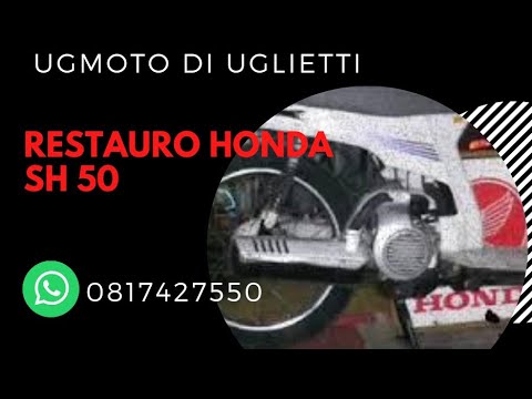 HONDA SH 50 honda sh 50: