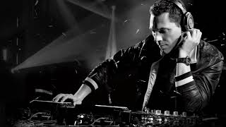 Tiesto and Mike Williams - I want you