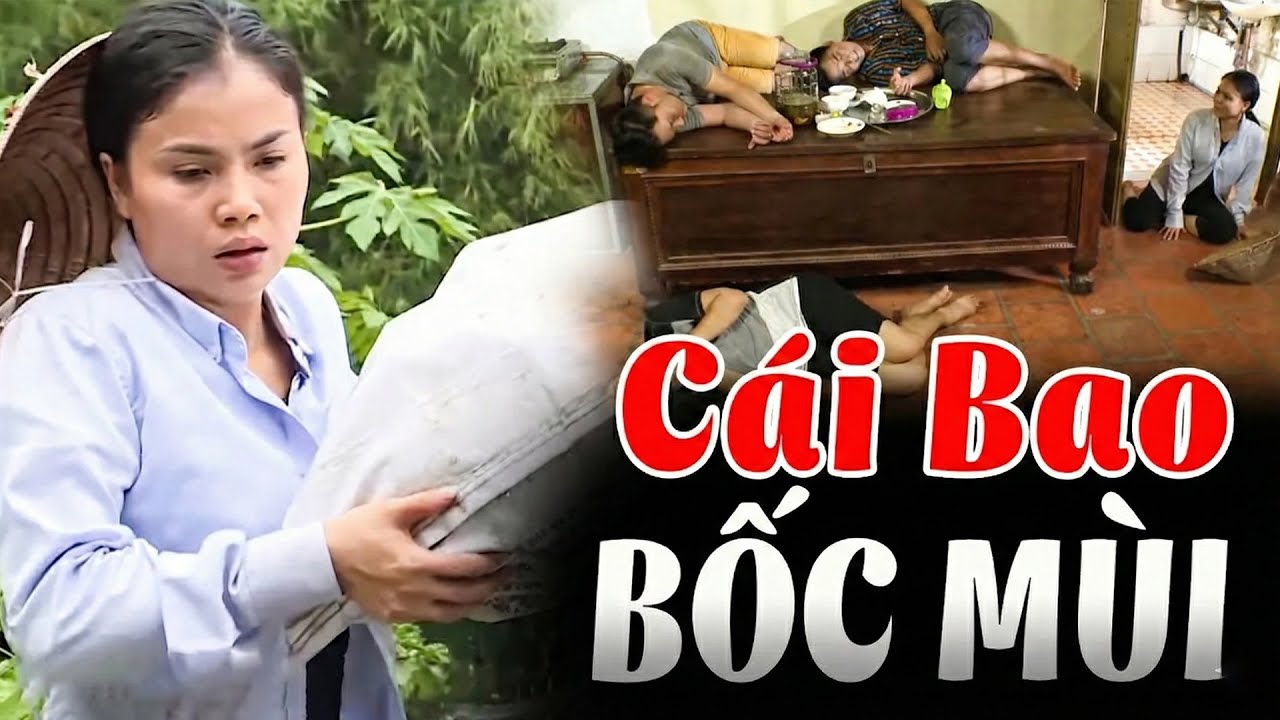 CÁI BAO BỐC MÙI | Truy Tìm Bằng Chứng 2026 | Ký Sự Pháp Đình THVL | Chuyện Cảnh Giác Mới 2026