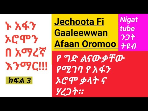 Learn Afaan Oromo In Amharic ኣፋን ኦሮሞን በ አማረኛ Kemo Tube Learn Afaan Oromo Nigat Tube 