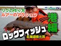 港のロックフィッシュ！ 初心者必見の基本テクニックを解説！