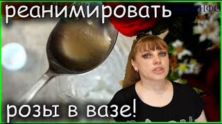 Что нужно добавить в воду чтобы розы дольше стояли? Чем мыть кошачий лоток чтобы не было запаха? Что нужно добавить в воду чтобы розы дольше стояли? Чем мыть кошачий лоток чтобы не было запаха?
