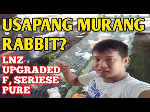 USAPANG PRESIYO NG