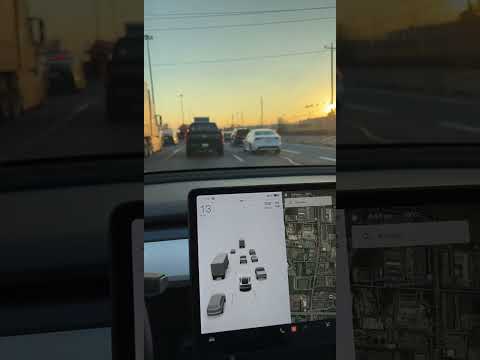 Tesla vision is