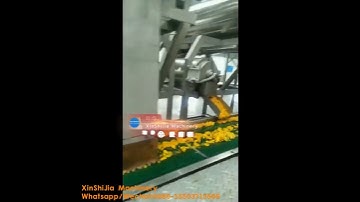 fruit and vegetable pulp press machine