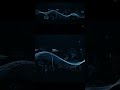 Decoding the Glitch: The AI Experiment Begins