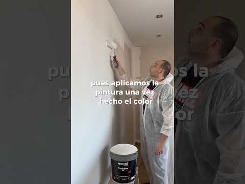🎬 Video relacionado con pinturas blanco nórdico