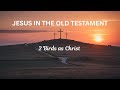 2 Birds: Jesus In The Old Testament