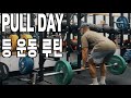현역 미군들의 등 운동 루틴 및 운동 후 식단 (레이방 운동루틴 V3 PULL DAY)