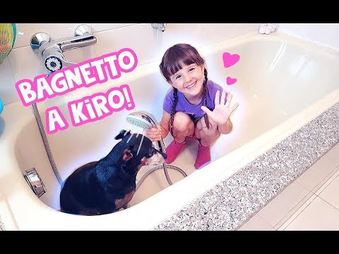 🐶💦Facciamo il bagnetto a Kiro!! 💦🐶