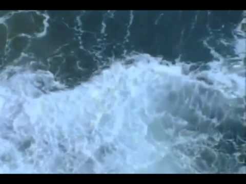 Chris Rea (Крис Ри) - Love Turns To Lies (Бояться нечего)