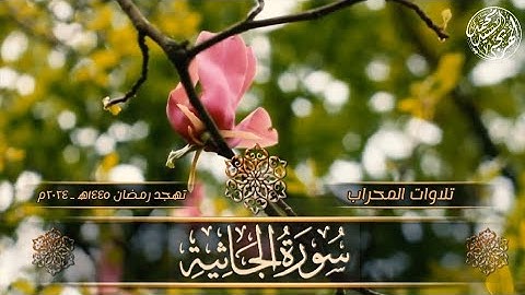 سورة الجاثية كاملة ـ Surat Al-Jathiyah 🎧