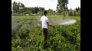 Tea harvester & Power Sprayer