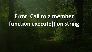 Error: Call to a member function execute() on string