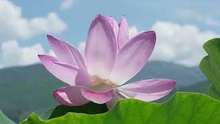2-3 Create the right inner environment for meditation