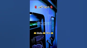 اكسبلور Qurantilawat Quran 1kcelebretion Duet القرآن الكريم اسلام صبحي تبارك الله ماهر المعيقلي 