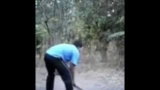 Kocak!, Bersin keluar kambing, kucing dll..?