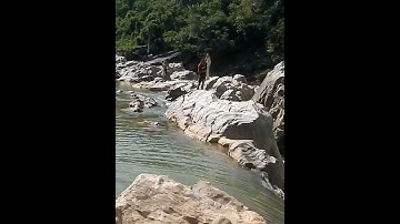 TẮM THÁC THẢ LƯỚI VÀ BẮT CÁ SUỐI P3#BẢNLÀNGPACÔ