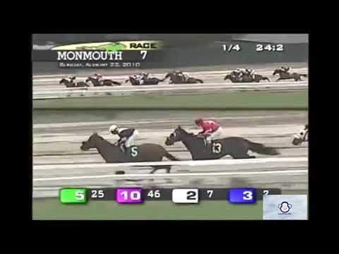 funny-horse-race-commentary---funny-monkey-media